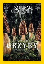 National Geographic 4/24