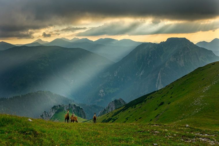najpiękniejesze szlaki w tatrach
