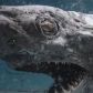 Zdjęcia z opuszczonego akwarium przerażają. Martwy rekin, ośmiornica i kalmar pobiją każdy horror (fot. YouTube, Juj Urbex)