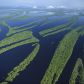 Największe rzeki świata – ranking rzek o rekordowych długościach (fot. Getty Images)
