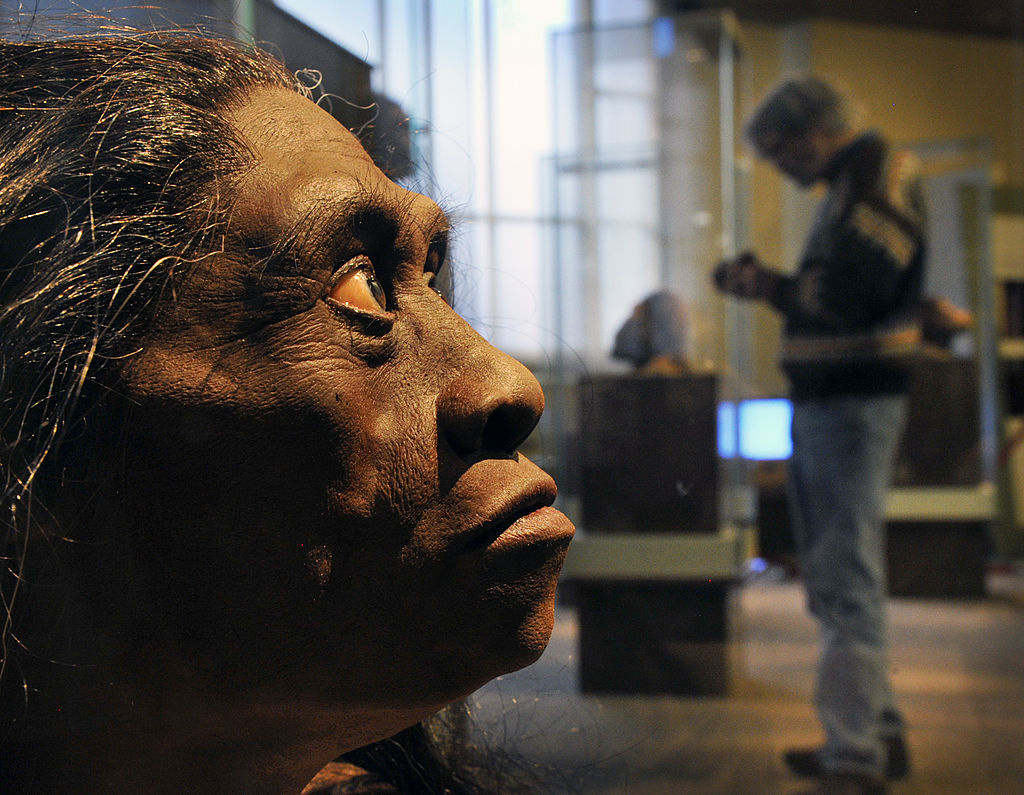 homo floresiensis