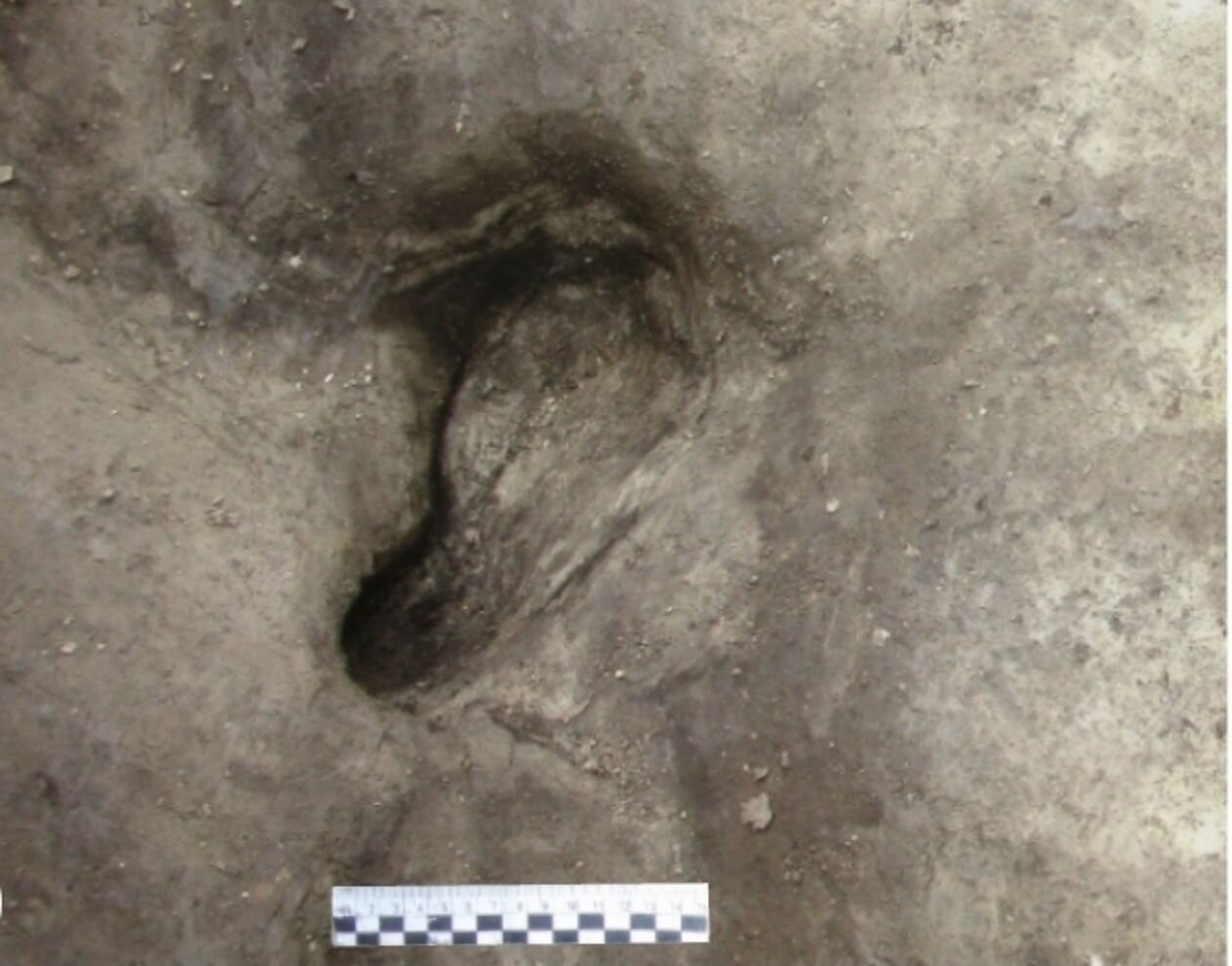 Naukowcy odnaleźli najstarsze ślady pozostawione przez człowieka. Mają ponad 300 tys. lat
