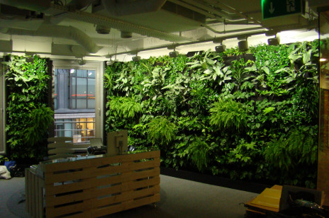 Zielone ściany zmniejszą zanieczyszczenie powietrza
