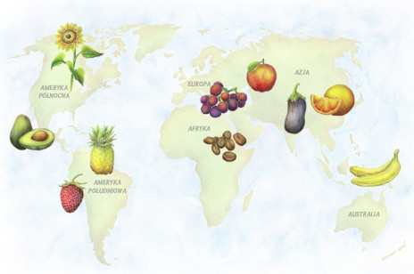 Dzisiejsze warzywa i owoce nie przypominają swoich przodków. Skąd pochodzą i jak je zmienili ludzie?
