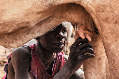 W świecie Mundari nic nie jest ważniejsze niż krowa. Zaglądamy do Sudanu Południowego