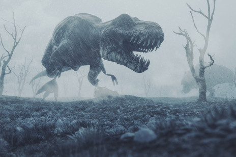 Badania wykazały, że dinozaury wykształciły zaskakującą odporność na mróz. Dzięki temu zdominowały Ziemię