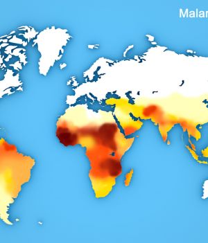 malaria_mapa