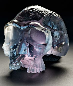 03a-homo-habilis-printed-skull-670
