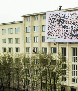 Puszcza białowieska greenpeace