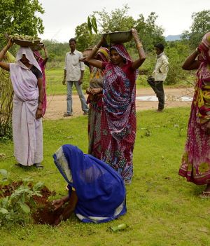 Sadzenie drzew w Indiach