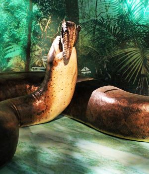 To największy wąż w historii. Pożerał dinozaury