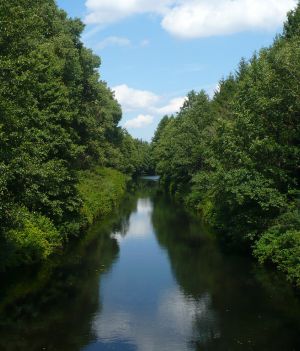 Zobacz wodne ogrody Kanału Augustowskiego [Polskie zakątki cz. 2]