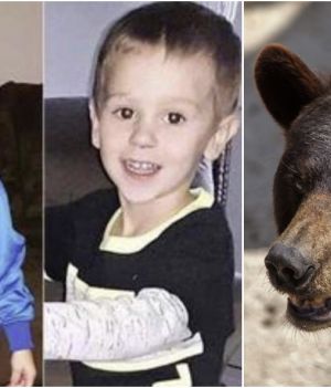 Zdjęcia chłopca udostępnione podczas poszukiwań oraz niedźwiedź baribal.