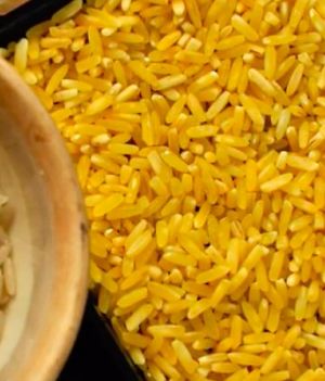 Złoty ryż fot. YT/Golden Rice Project