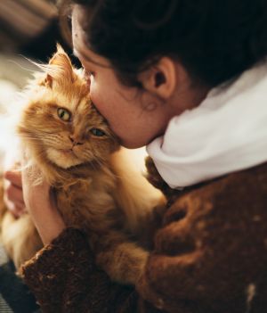 Koty tworzą z człowiekiem silną więź (fot. Getty Images)