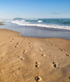 Nawet w mniej pesymistycznym scenariuszu będziemy musieli się pożegnać z jedną trzecią plaż (fot. Getty Images)