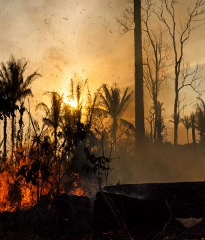 Pożary w Amazonii mogą być jeszcze tragiczniejsze w skutkach niż zeszłoroczne (Photo by Gustavo Basso/NurPhoto via Getty Images)