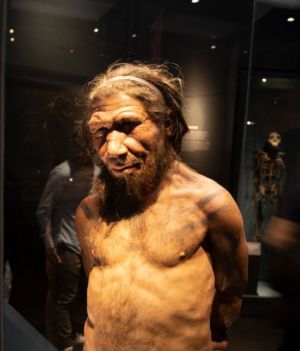 Geny odpowiadające za ciężki przebieg COVID-19 pochodzą od neandertalczyków - uznali naukowcy (fot. Getty Images)