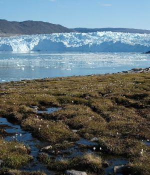 W XXI wieku Grenlandia straci więcej lodu, niż w najcieplejszych okresach ostatnich 12 000 lat (fot. Getty Images)