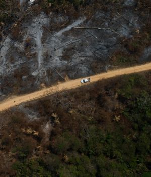 Sytuację dodatkowo pogarszają pożary (Photo by Ernesto Carriço/NurPhoto via Getty Images)