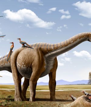 Odkryty dinozaur nie został jeszcze nazwany, ale najpewniej był większy od swoich znanych już krewnych (fot. Getty Images)