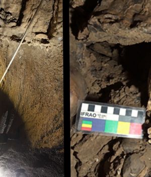 Szczątki znaleziono w jaskini we Włoszech (fot. © 2021 Belcastro et al.)