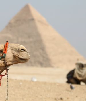 Polacy na majowe wyjazdy chętnie wybierają Egipt (fot. Getty Images)
