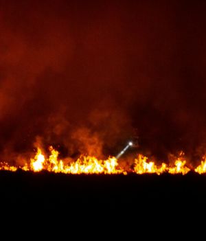 Pożar w Biebrzańskim Parku Narodowym 20 kwietnia 2020 roku