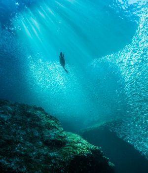 Lepsze poznanie ukształtowania dna oceanicznego to korzyść nie tylko dla badaczy (fot. Getty Images)