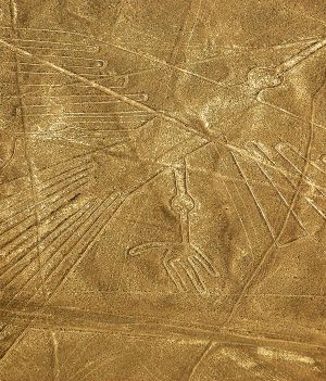 Rysunki z Nazca