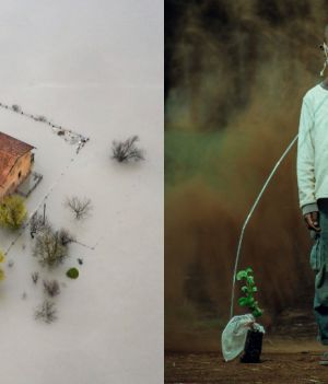 Poruszające zdjęcia nagrodzone w konkursie The Environmental Photographer of the Year. Oto prawdziwe problemy naszego świata