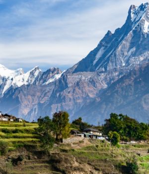 Chiny miały pomóc odbudować Nepal. Teraz niszczą parki narodowe