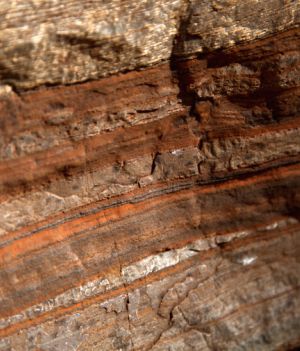 Czy to najstarsze miejsce na Ziemi? Pilbara jest porównywana do Marsa