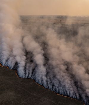 pożar pola po suszy i fali upałów
