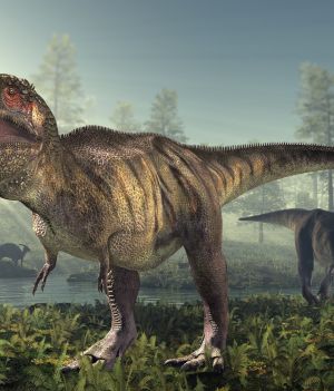 Rodzaje dinozaurów - ciekawostki i opisy gatunków (fot. Getty Images)