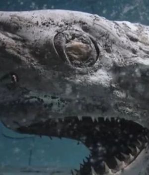 Zdjęcia z opuszczonego akwarium przerażają. Martwy rekin, ośmiornica i kalmar pobiją każdy horror (fot. YouTube, Juj' Urbex)