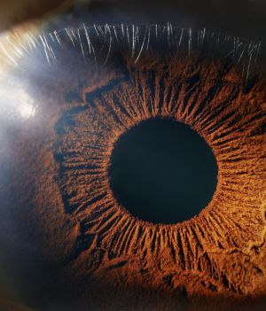 Śmierć jest odwracalna? Naukowcy sprawili, że ludzkie oko wykazywało aktywność pięć godzin po zgonie (fot. Getty Images)