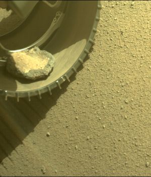 Marsjański łazik Perseverance od 120 dni ma „pasażera na gapę”. Co nim jest? (fot. NASA/JPL-Caltech)
