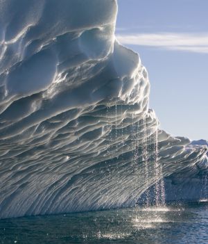 Topniejące lodowce to nasz wspólny problem. Jakie są powody i skutki topnienia lodowców?