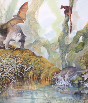 Papua-Nowa Gwinea była domem olbrzymiego kangura. Na to wskazują skamieniałości sprzed 50 tys. lat