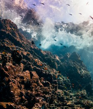 Podwodne góry przyciągają uwagę naukowców. Tysiące tajemniczych szczytów czekają na zbadanie (fot. Getty Images)