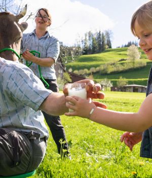 Ludzie zaczęli pić mleko jeszcze zanim nauczyli się je trawić. Co doprowadziło do ewolucji mlecznego genu?