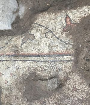 Czy tu urodził się święty Piotr? Archeolodzy są coraz bliżej odkrycia biblijnej Betsaidy