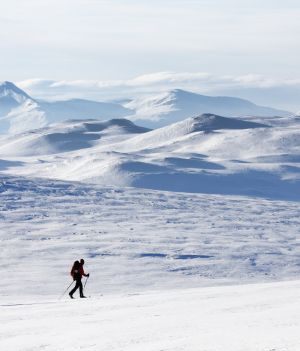 Gdzie jechać na narty w Szwecji? – najlepsze miejsca (fot. Getty Images)