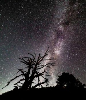 Pod nocnym, rozgwieżdżonym niebem. Po co nam parki ciemnego nieba? (fot. Nicolas Economou/NurPhoto via Getty Images)