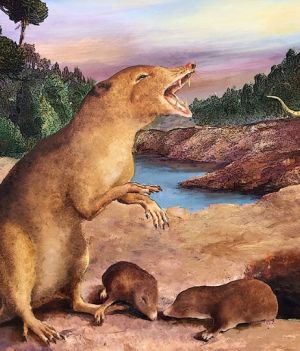 Najstarszy ssak na świecie przypominał ryjówkę. Gdzie żył?