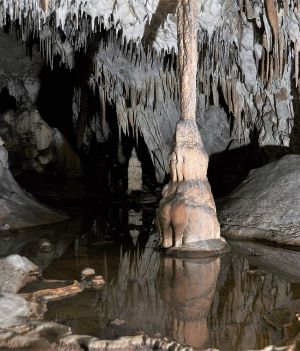 Jaskinie w Polsce – ile ich jest i które miejsca warto odwiedzić? (fot. PT Łysogóry, CC-BY-SA-4.0)