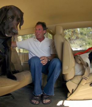 Jak przewozić psa w samochodzie? Wymagania i bezpieczeństwo (fot.  Jerry Cleveland/The Denver Post via Getty Images)