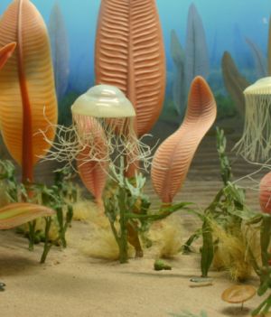 Ponad 500 mln lat temu nie wszystkie zwierzęta miały jelita, a i tak jadły. Co jeszcze zdradzają nowo zbadane skamieniałości?
