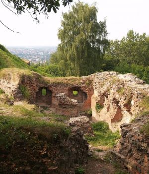 Tarnów był kiedyś stolicą Węgier. To tu zamieszkał w zamku węgierski król Jan Zápolya. Jaki los go spotkał? (fot. Ffolas, Wikimedia Commons, CC-BY-SA-3.0)